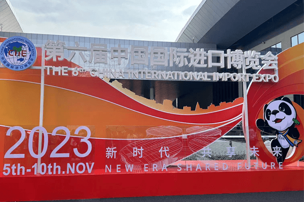 China International Import Expo